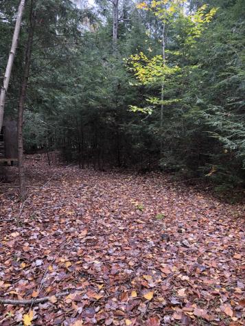 1558 Viele Pond Road Warrensburg NY 12885