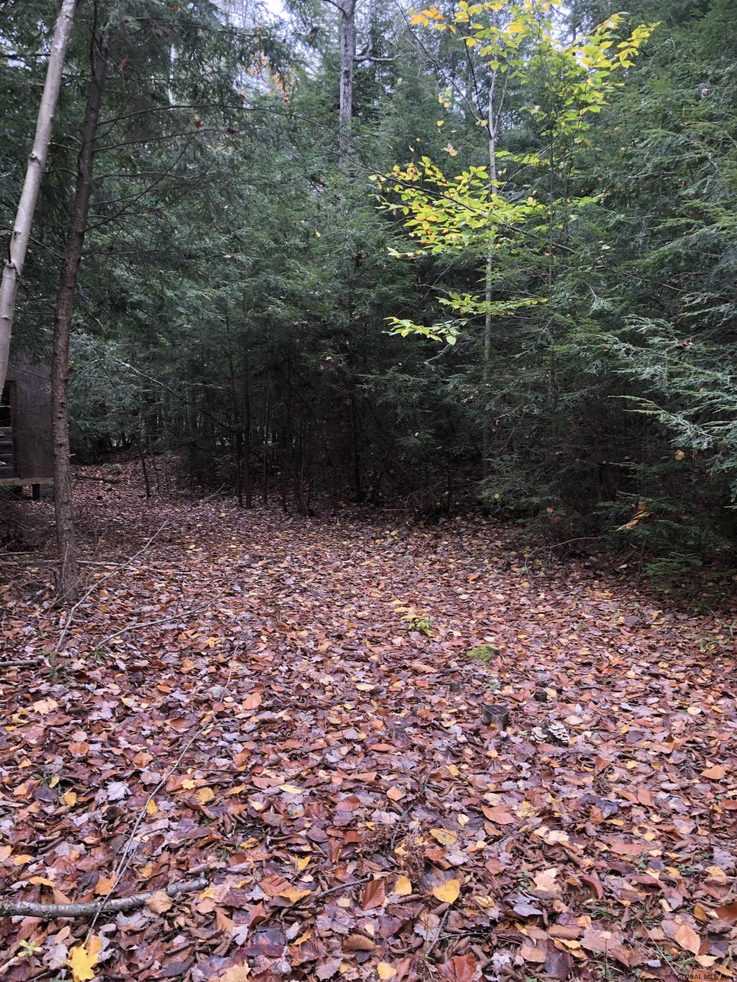 1558 Viele Pond Road Warrensburg NY 12885