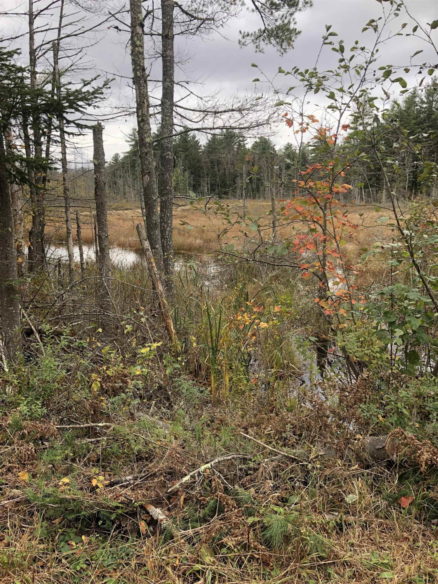 1558 Viele Pond Road Warrensburg NY 12885