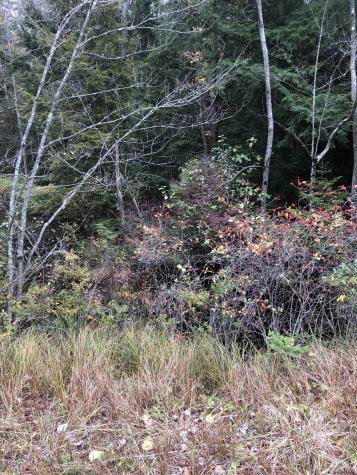 1558 Viele Pond Road Warrensburg NY 12885