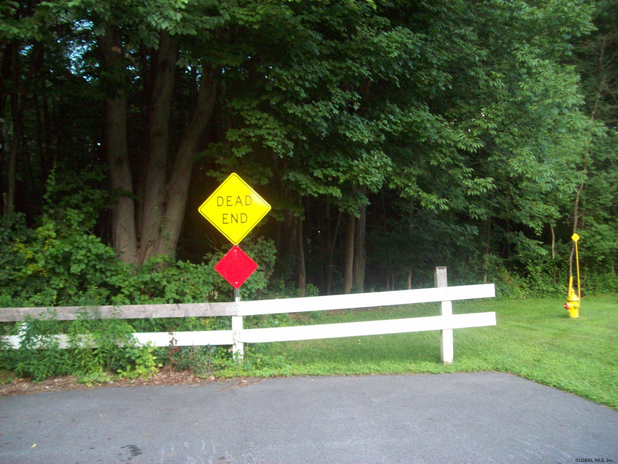 234 (parcel 2) Bender Lane Glenmont NY 12077