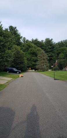 234 (parcel 2) Bender Lane Glenmont NY 12077
