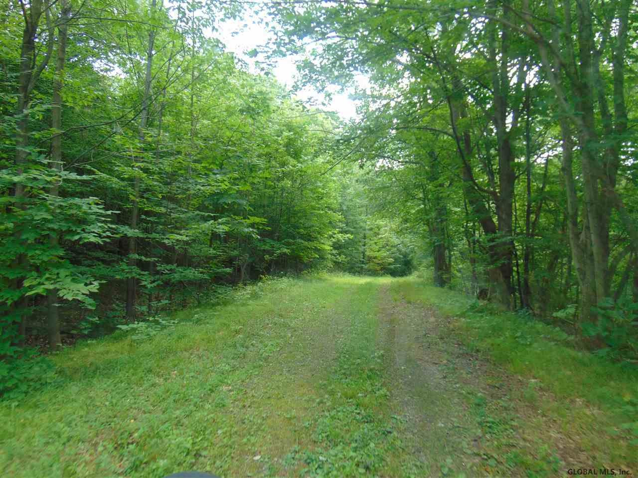 0 Mace Road Gilboa NY 12076