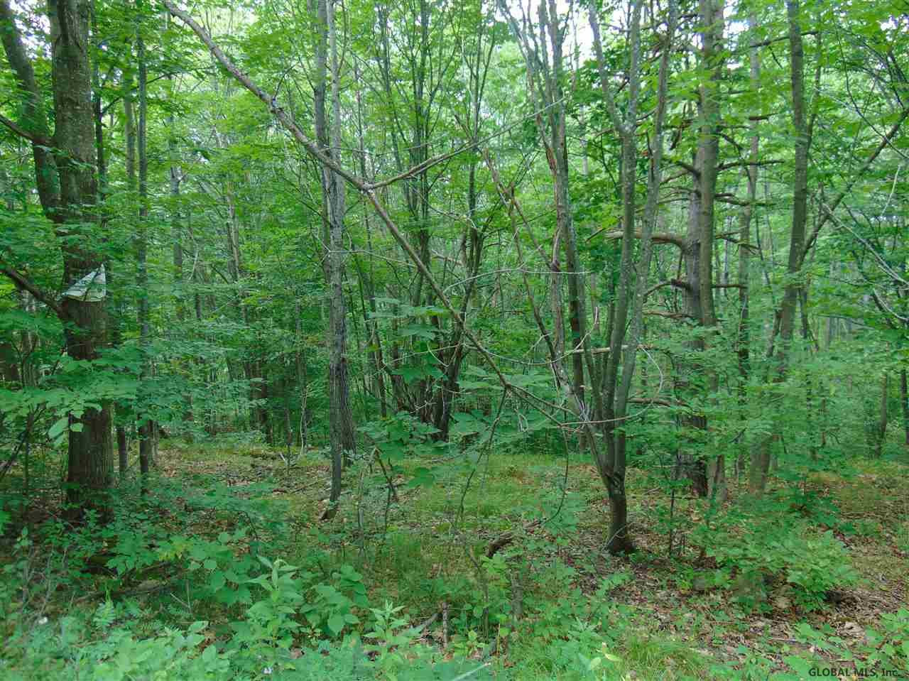0 Mace Road Gilboa NY 12076