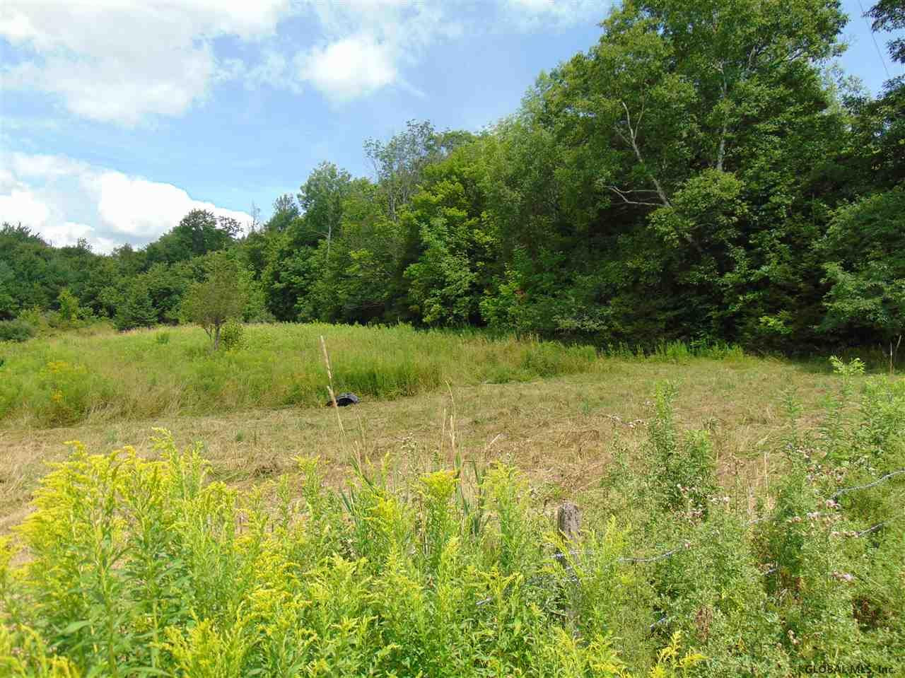 0 Mace Road Gilboa NY 12076