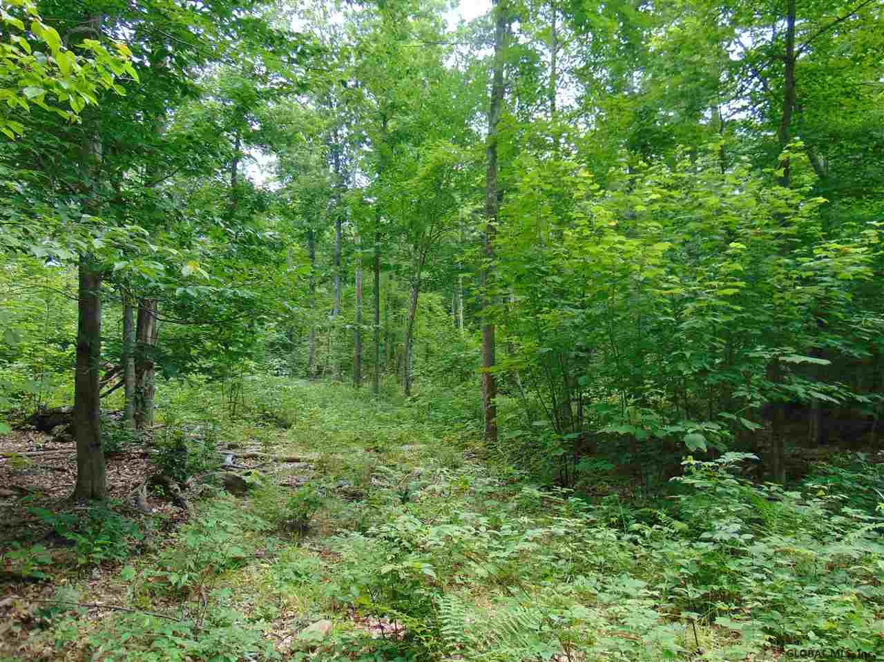 0 Mace Road Gilboa NY 12076