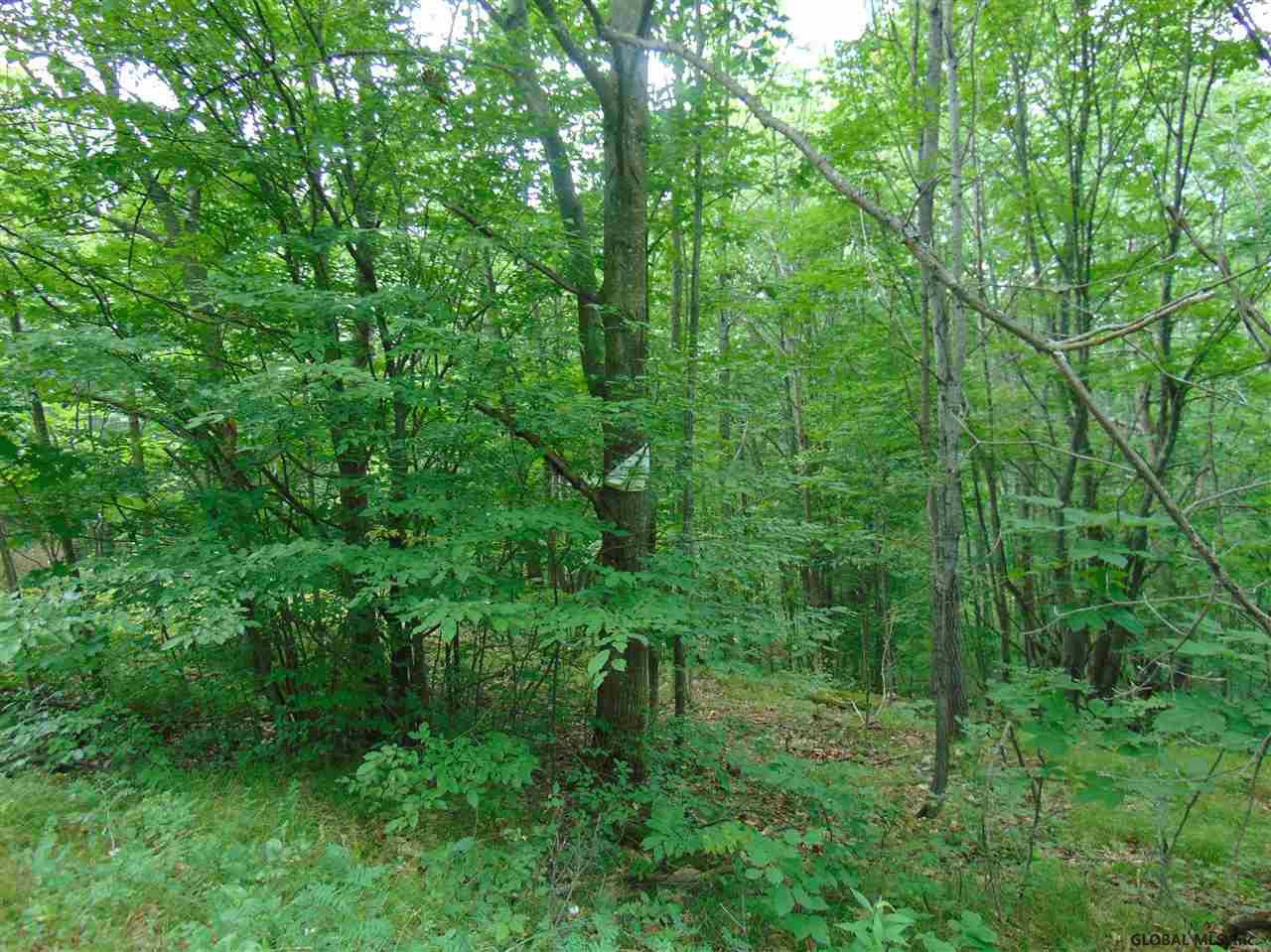 0 Mace Road Gilboa NY 12076
