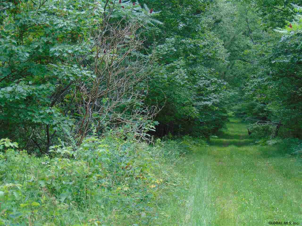 0 Mace Road Gilboa NY 12076