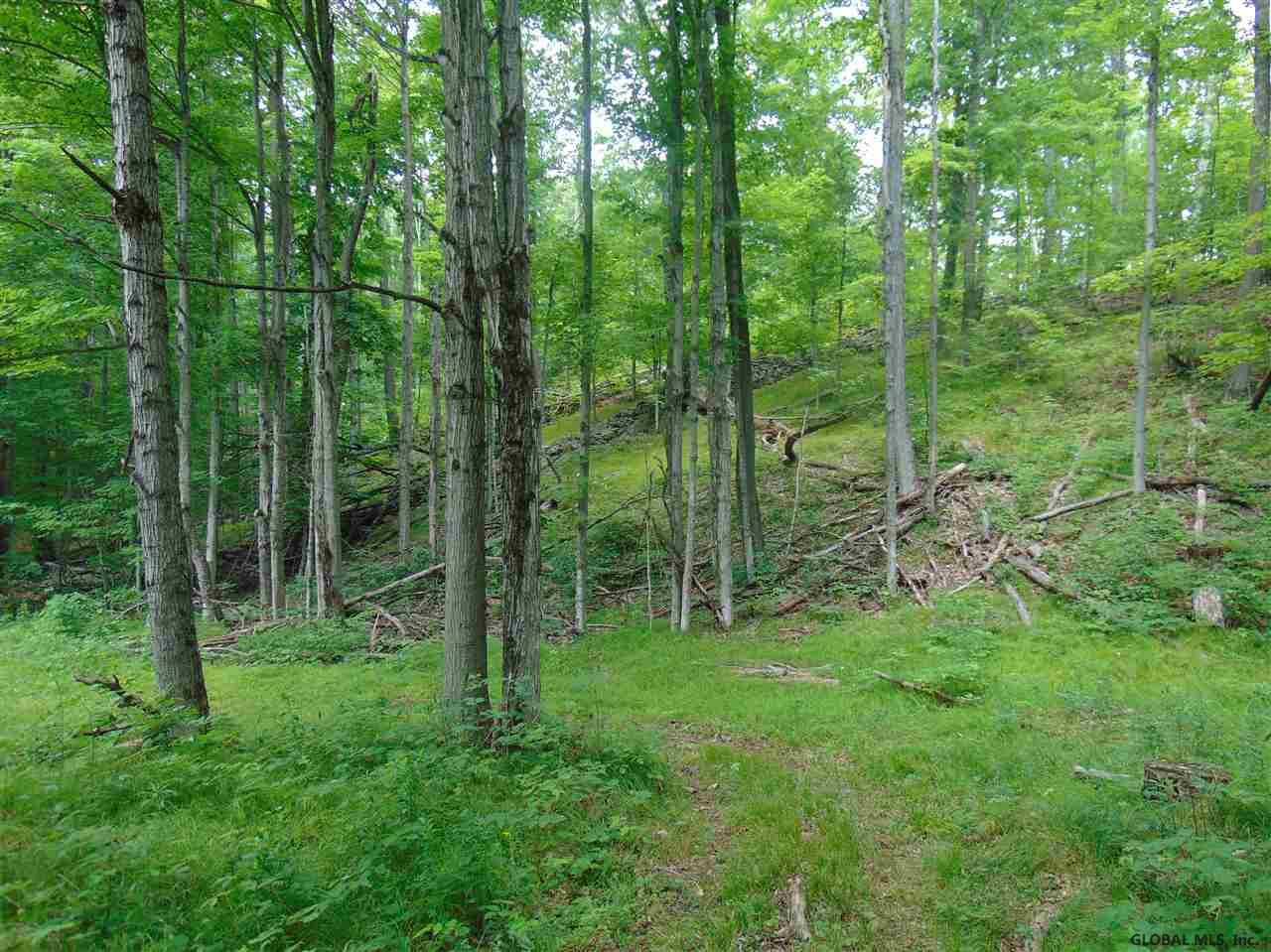 0 Mace Road Gilboa NY 12076