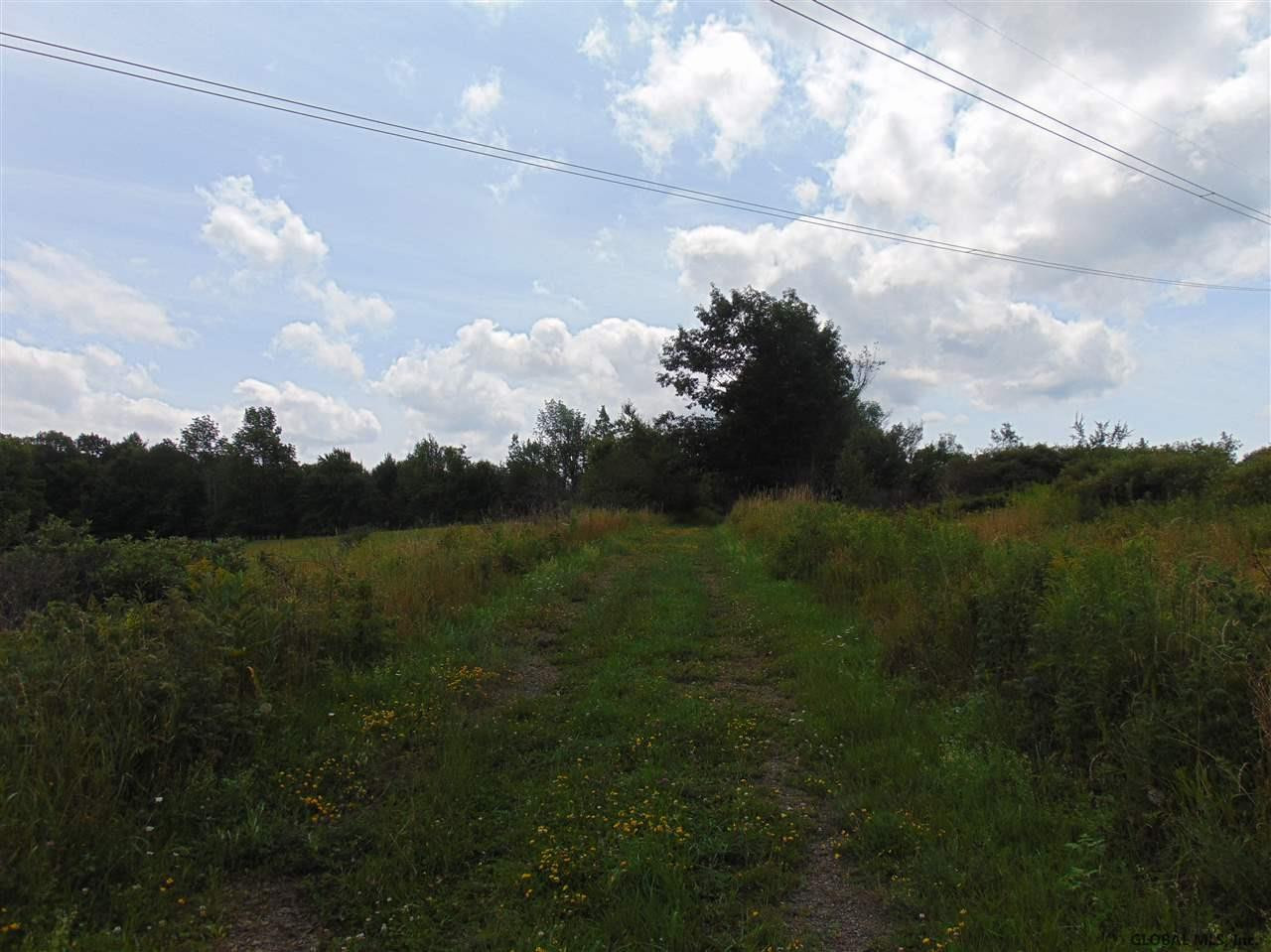 0 Mace Road Gilboa NY 12076