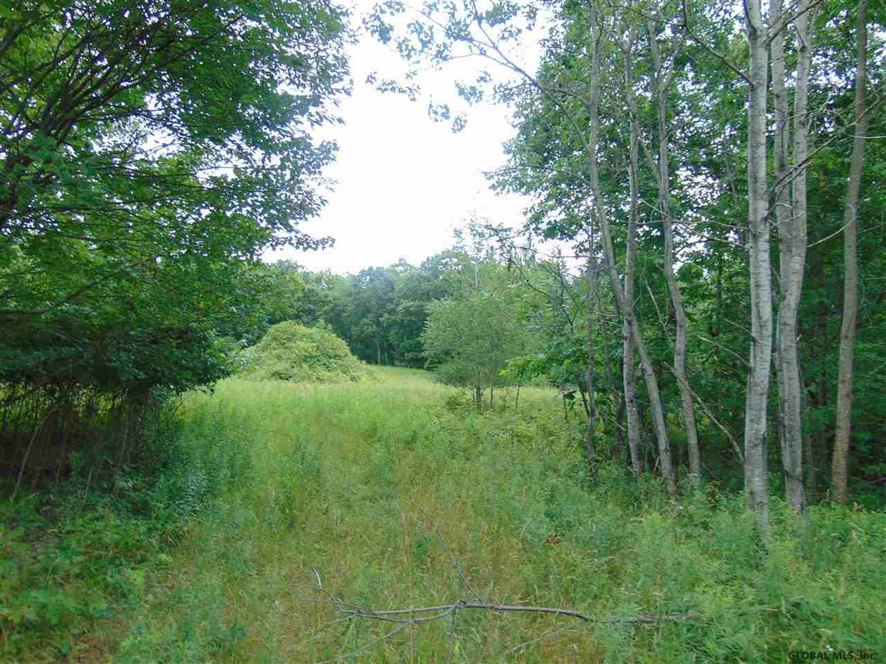 0 Mace Road Gilboa NY 12076