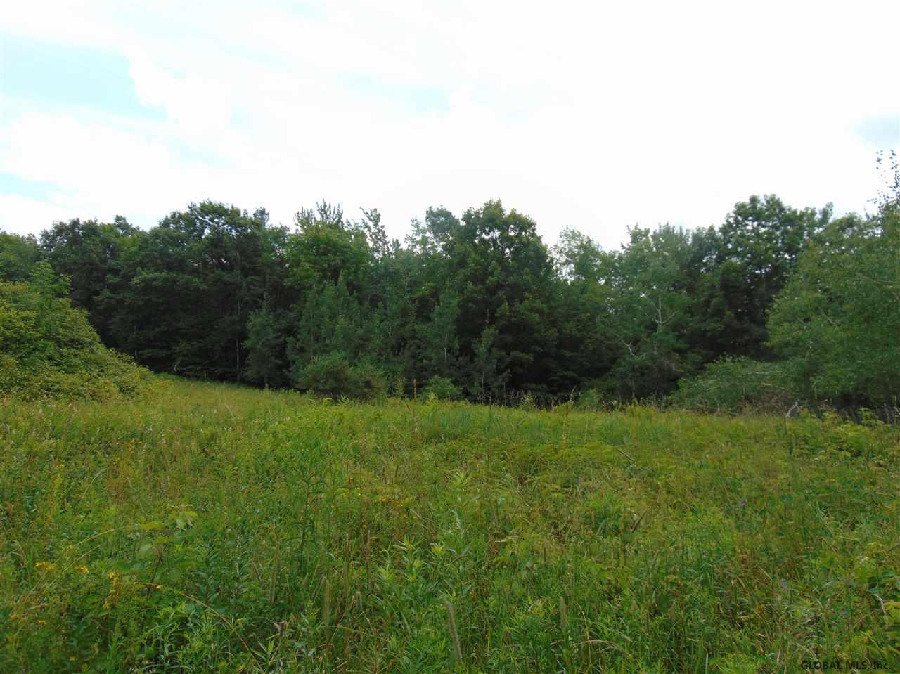 0 Mace Road Gilboa NY 12076