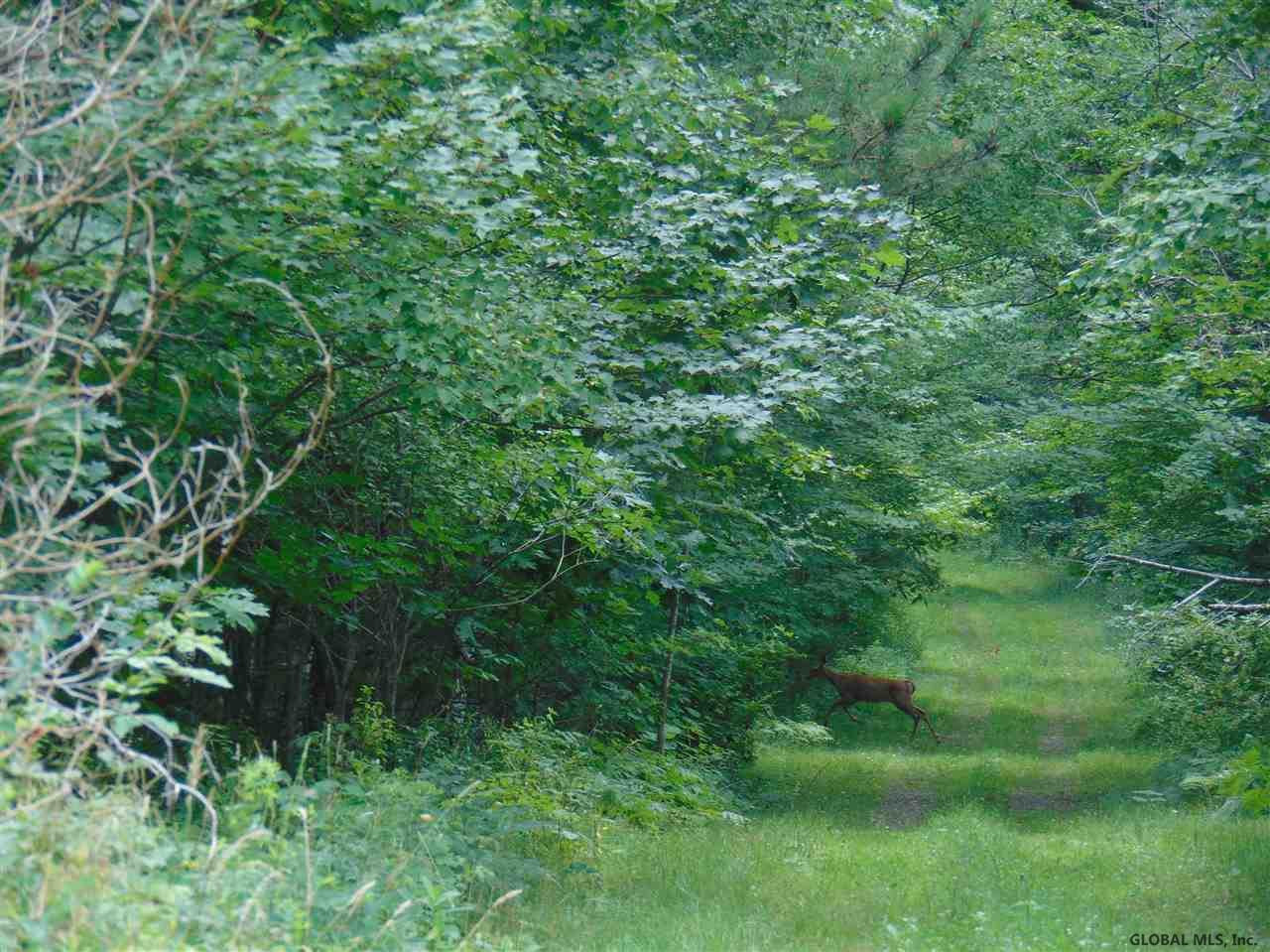 0 Mace Road Gilboa NY 12076