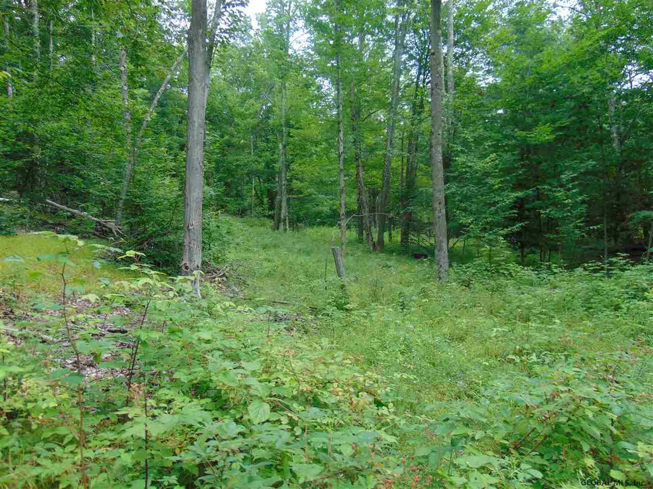 0 Mace Road Gilboa NY 12076
