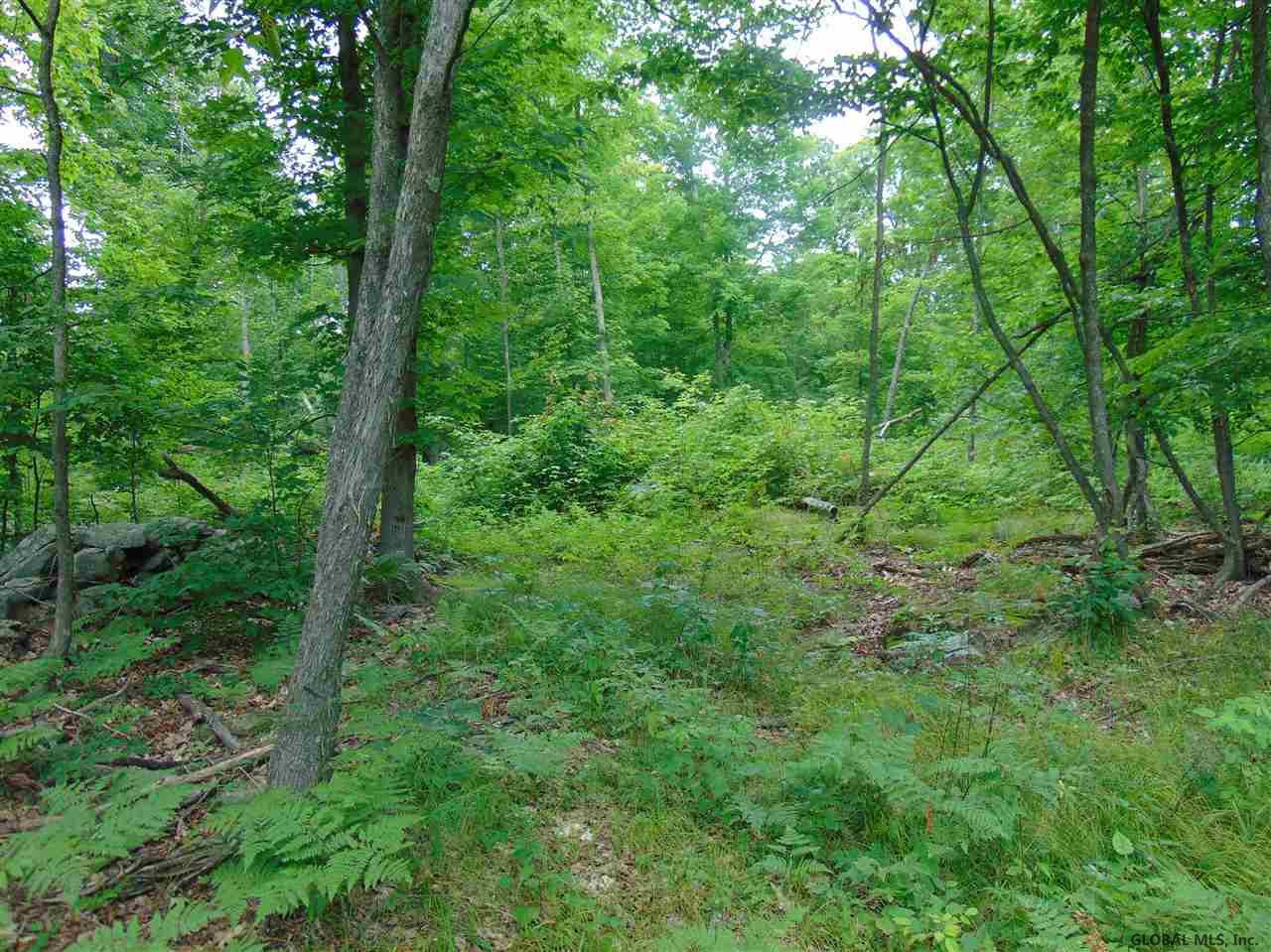 0 Mace Road Gilboa NY 12076