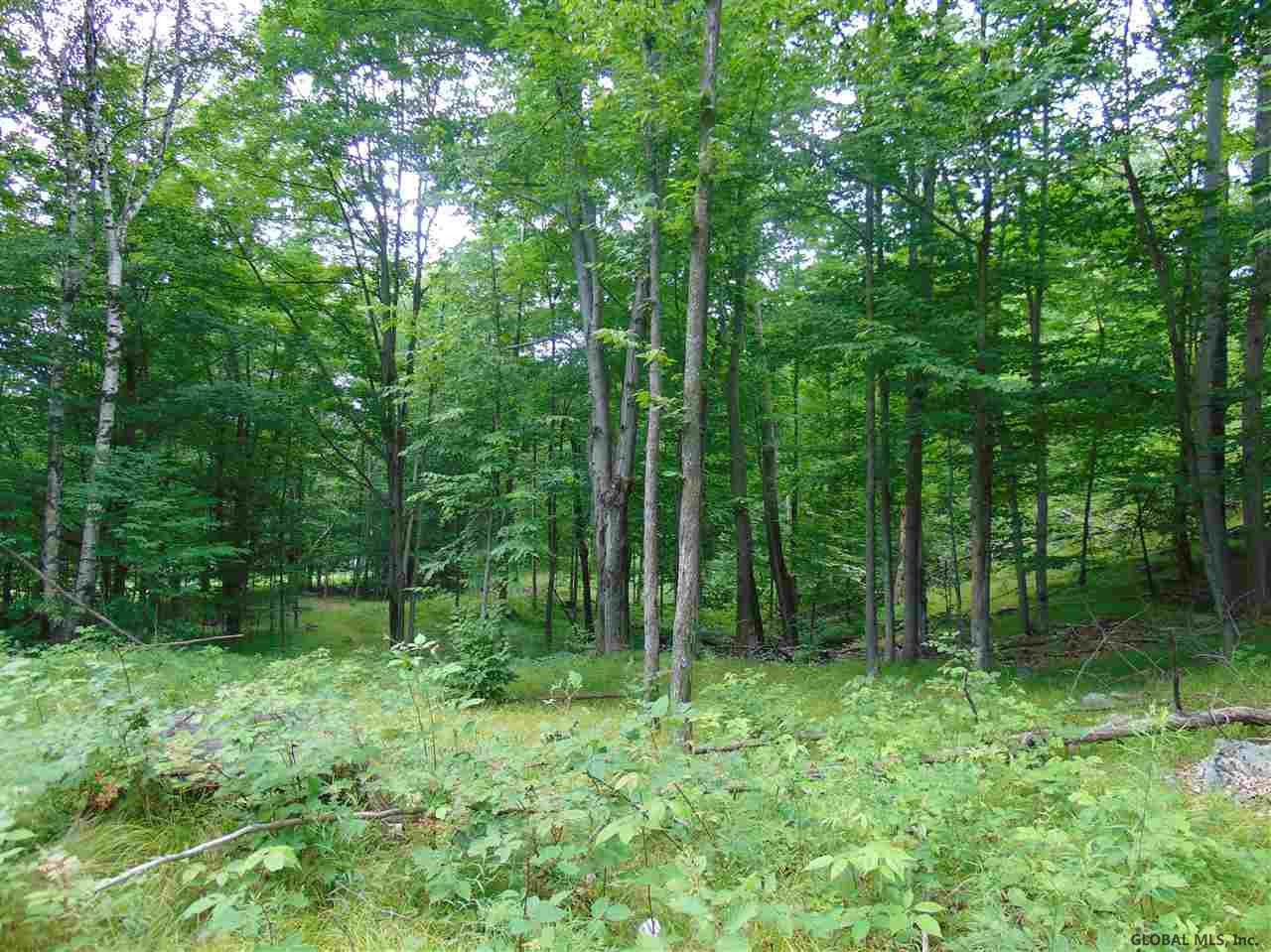 0 Mace Road Gilboa NY 12076