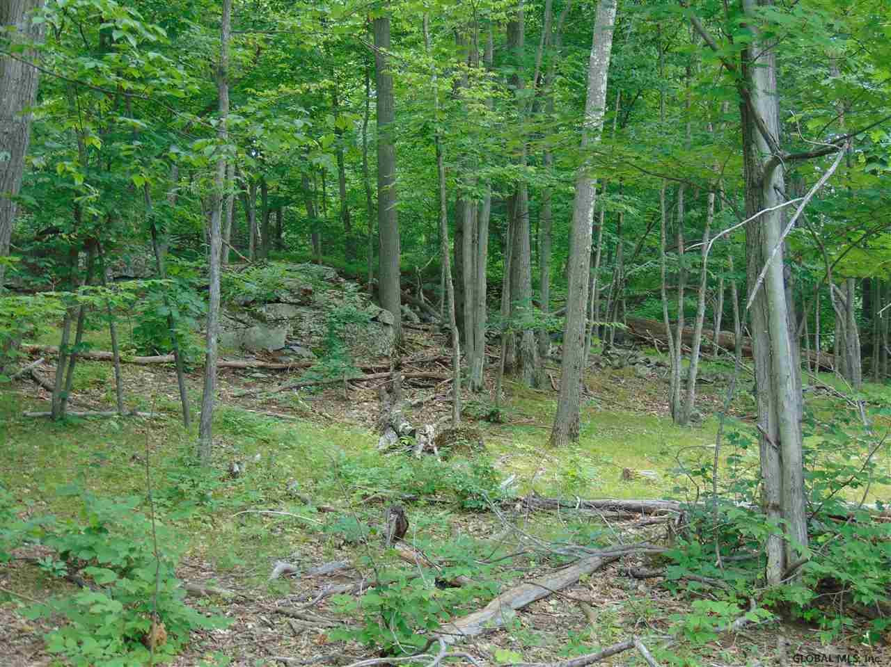 0 Mace Road Gilboa NY 12076