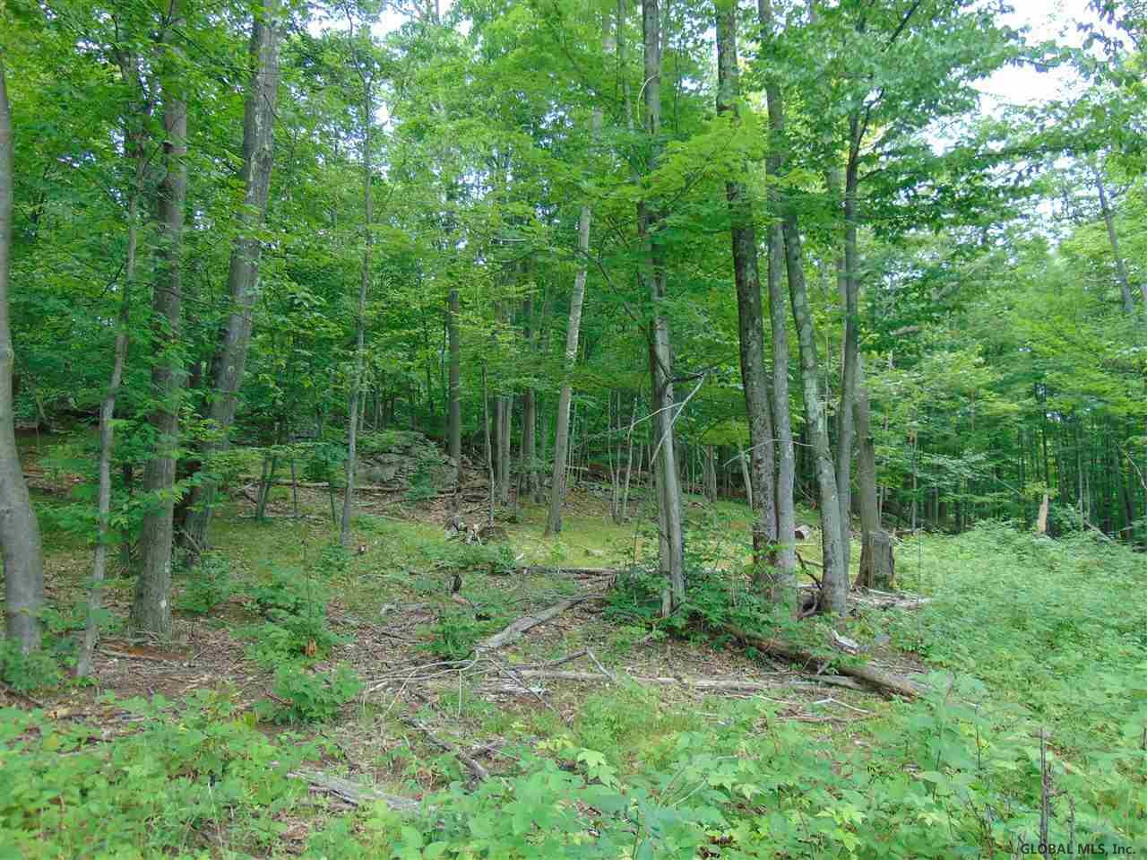 0 Mace Road Gilboa NY 12076