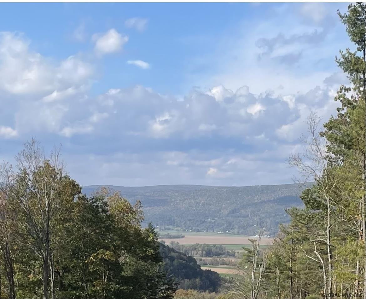 000 Huntersland Road Middleburgh NY 12122