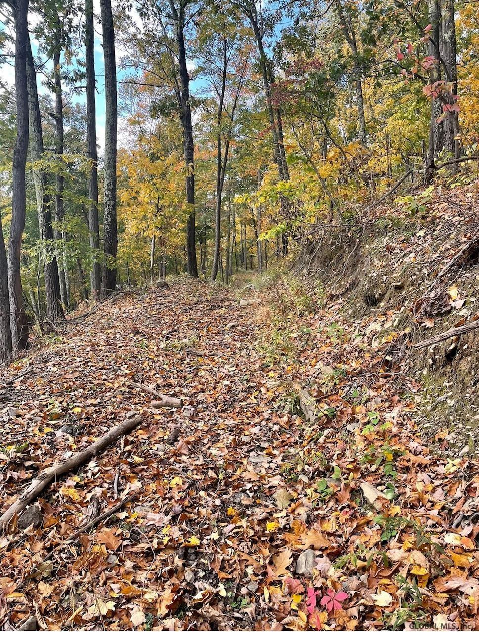 000 Huntersland Road Middleburgh NY 12122