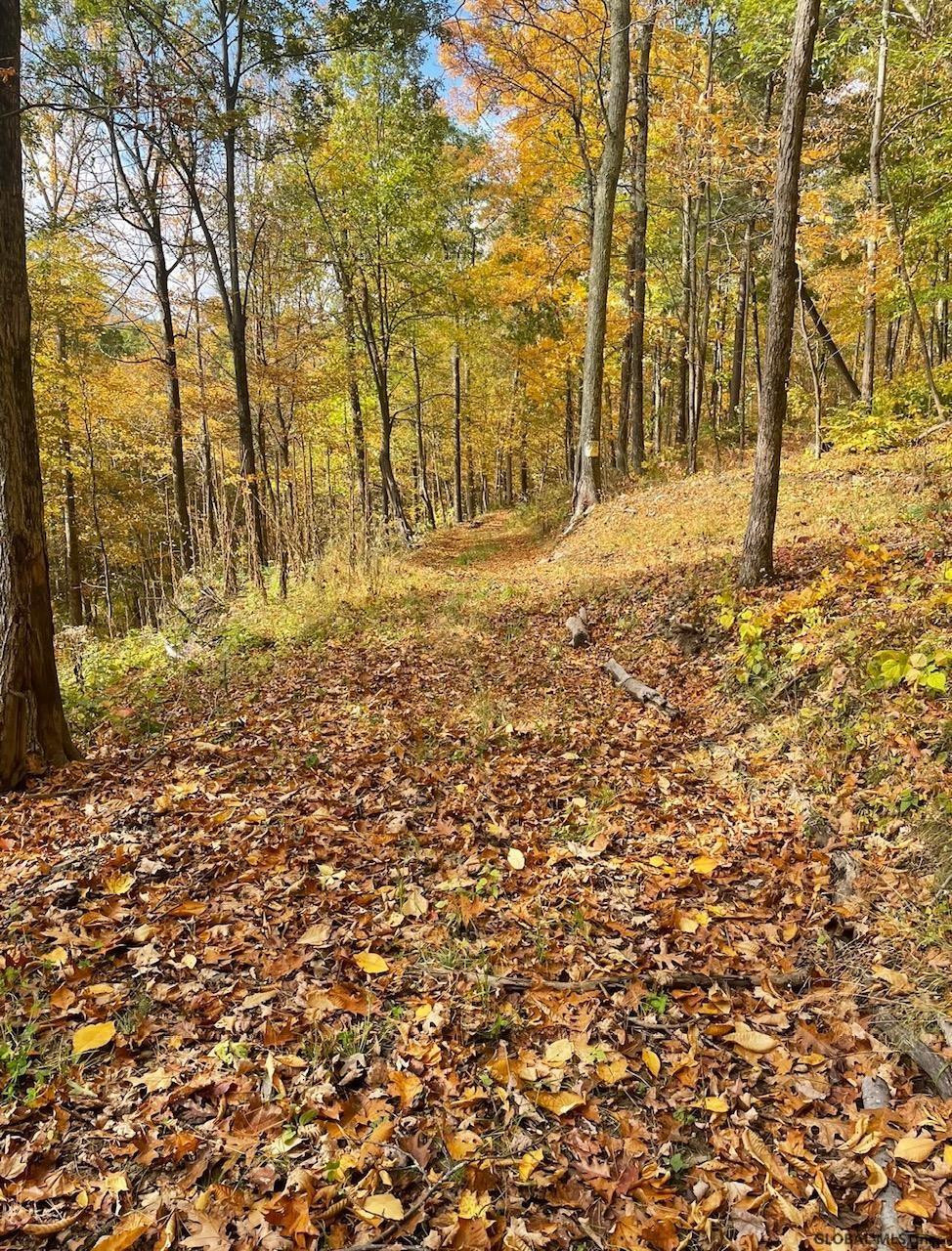000 Huntersland Road Middleburgh NY 12122