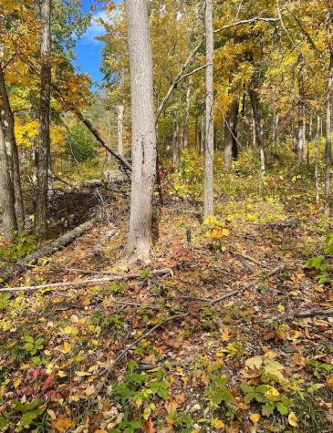 000 Huntersland Road Middleburgh NY 12122