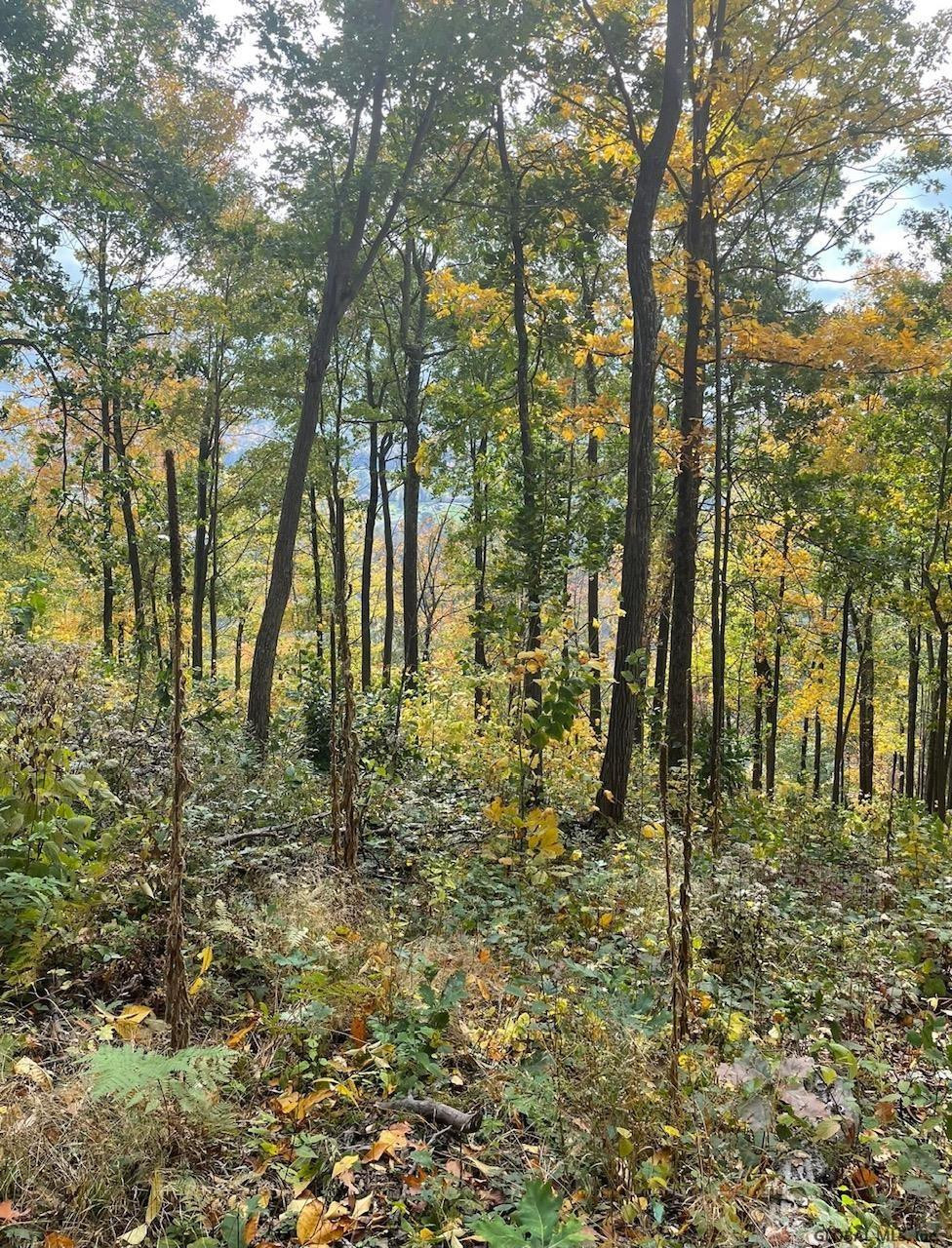 000 Huntersland Road Middleburgh NY 12122
