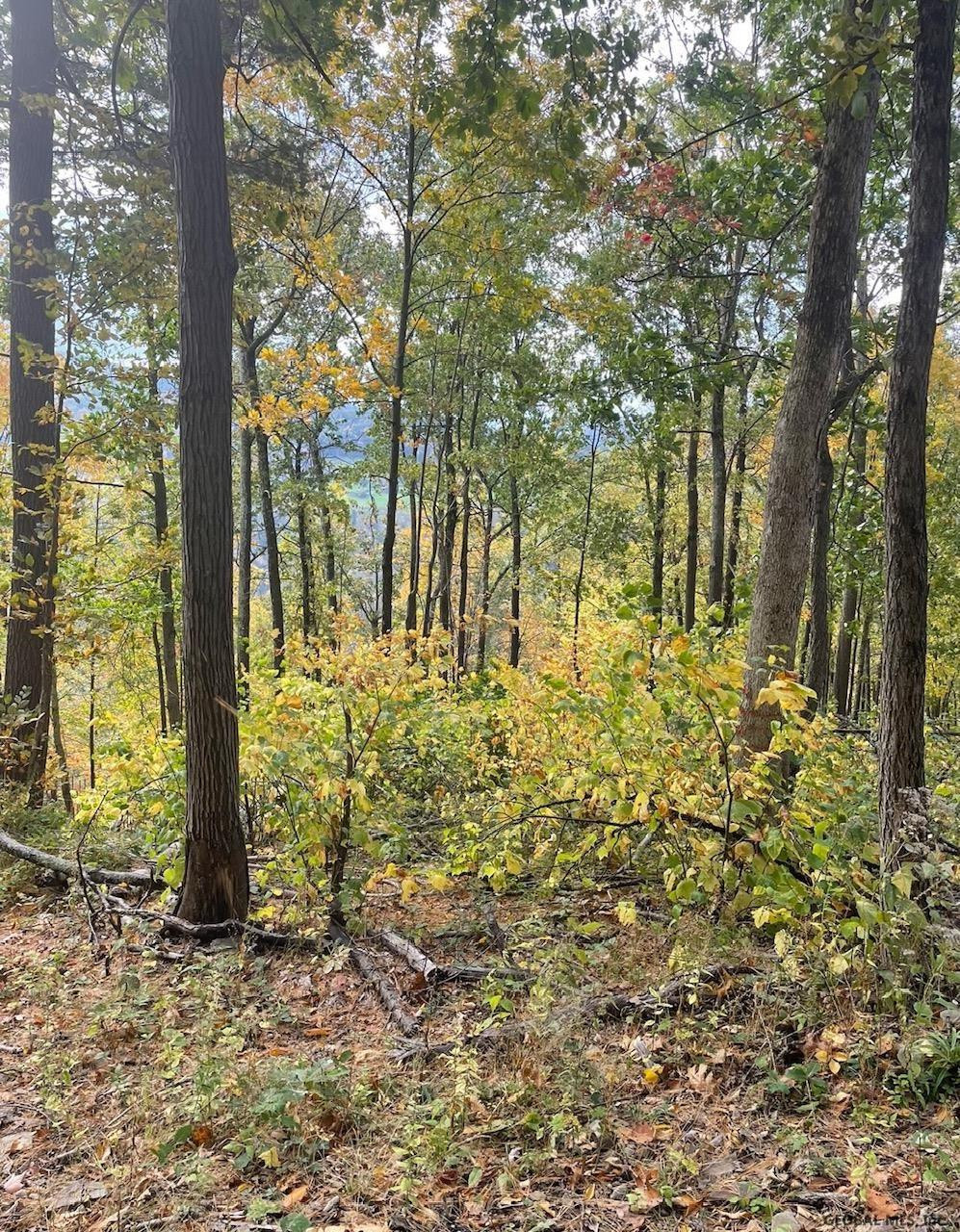 000 Huntersland Road Middleburgh NY 12122