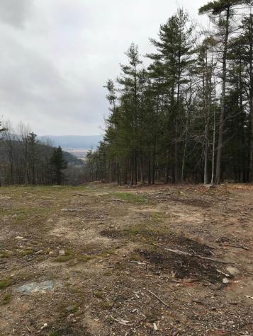 000 Huntersland Road Middleburgh NY 12122