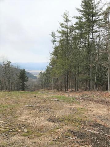 000 Huntersland Road Middleburgh NY 12122