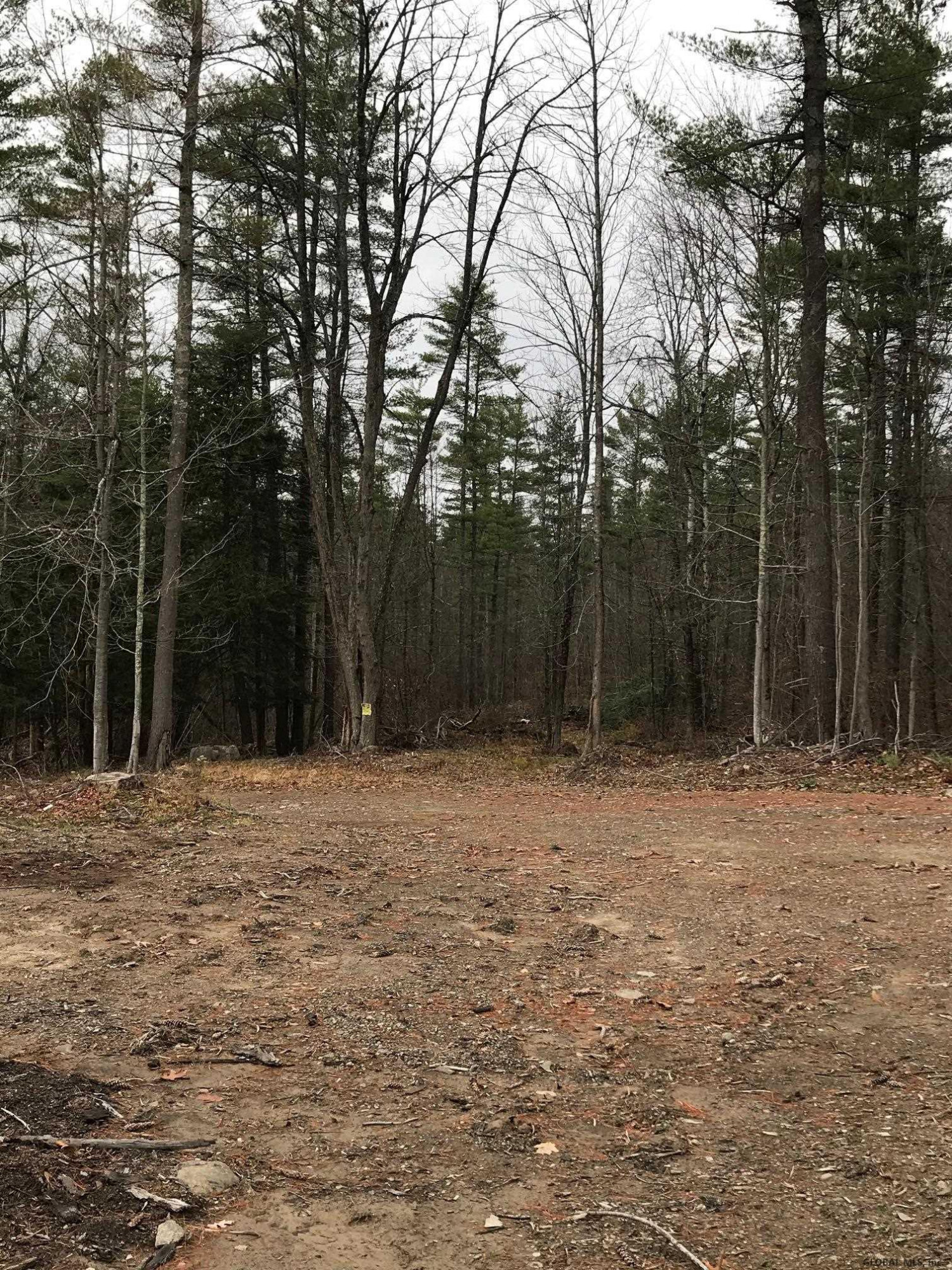 000 Huntersland Road Middleburgh NY 12122