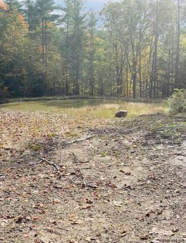 000 Huntersland Road Middleburgh NY 12122