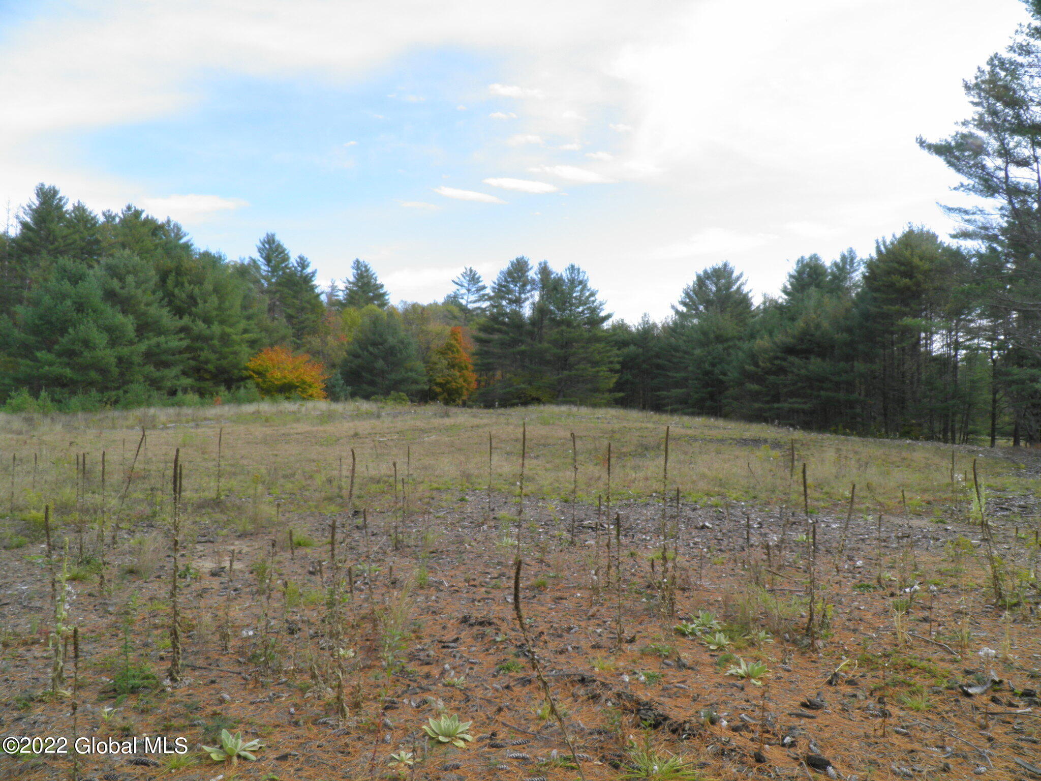 234 Old River Road North Creek NY 12853