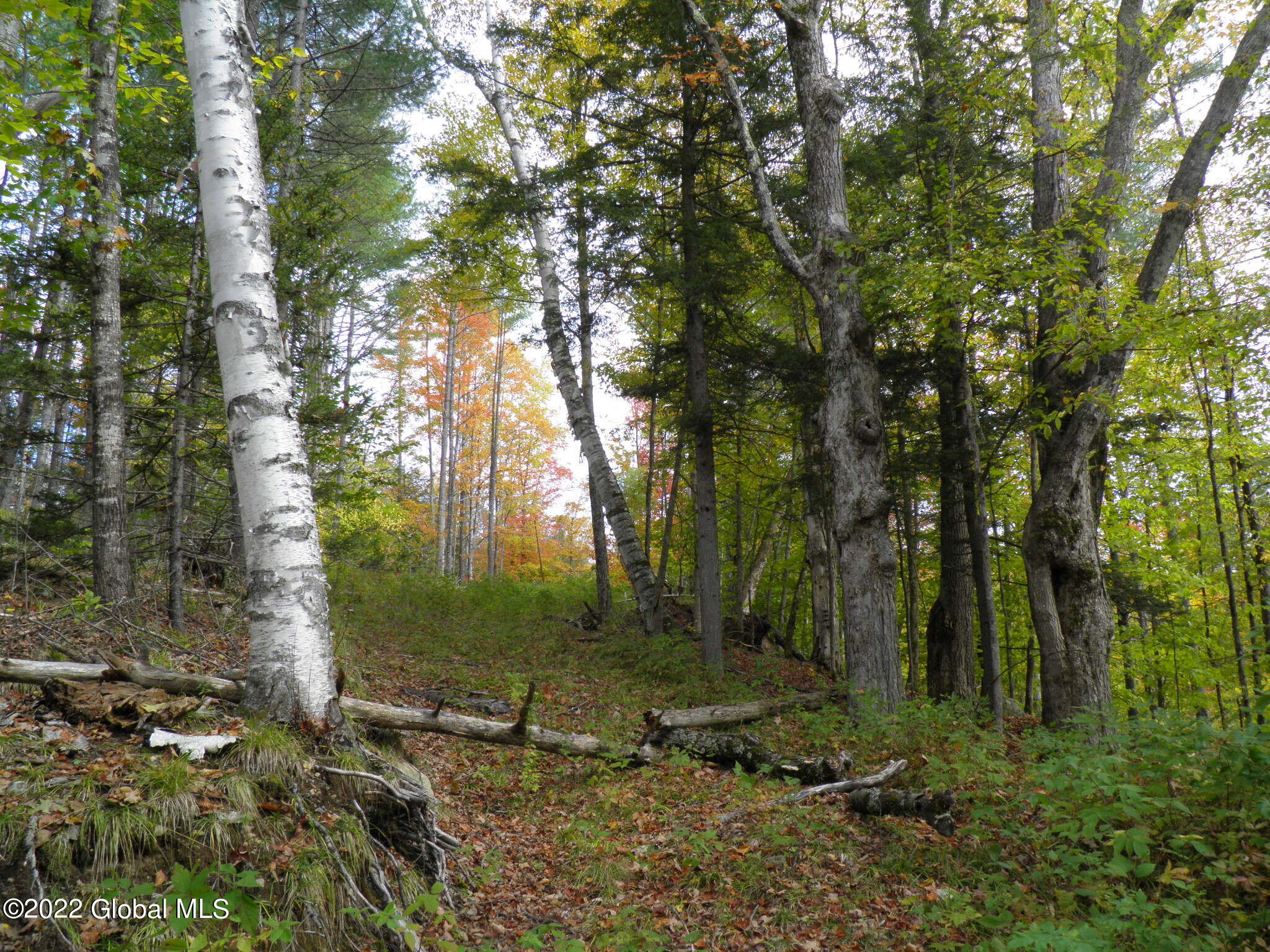234 Old River Road North Creek NY 12853