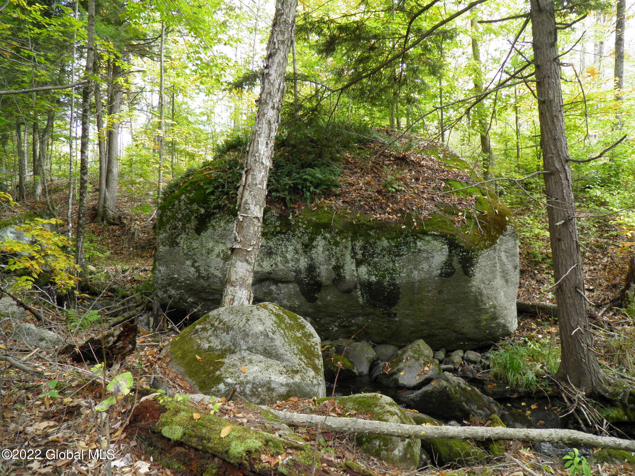 234 Old River Road North Creek NY 12853