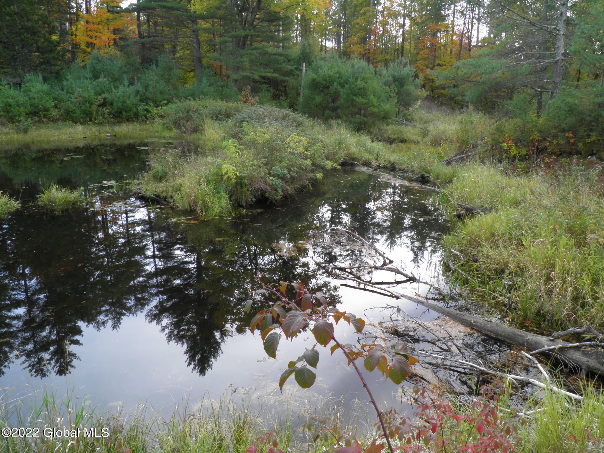 234 Old River Road North Creek NY 12853