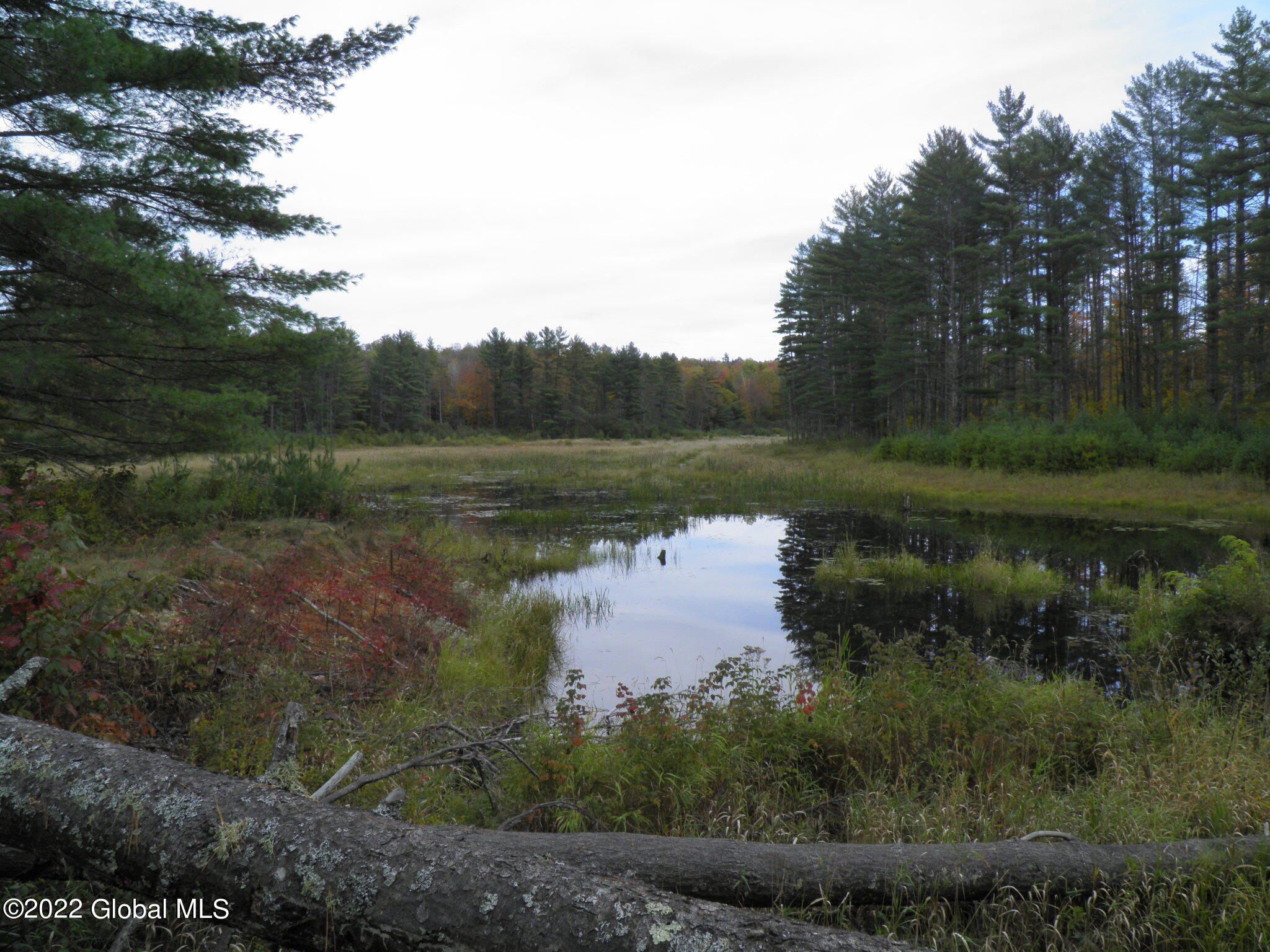 234 Old River Road North Creek NY 12853
