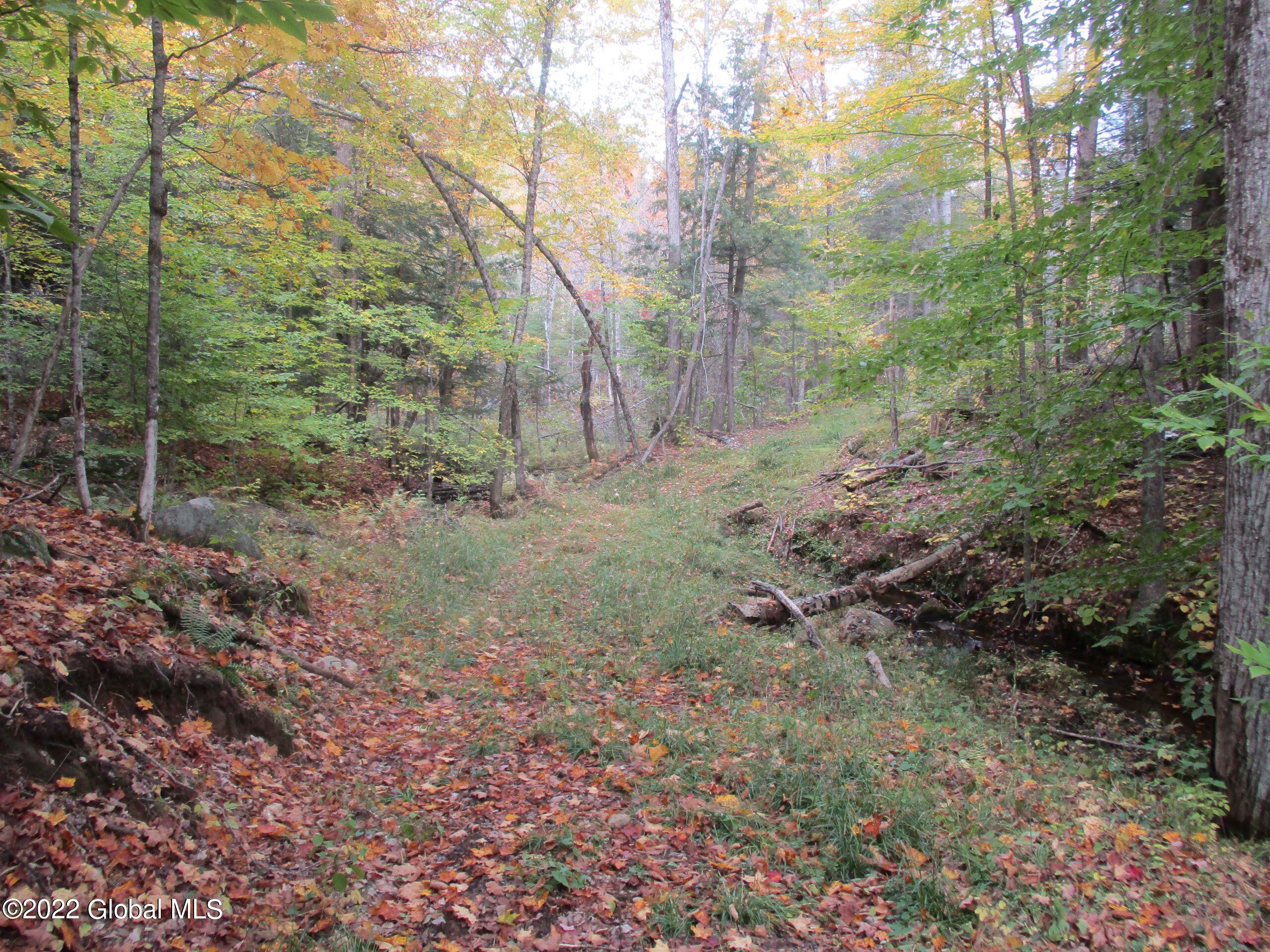 234 Old River Road North Creek NY 12853