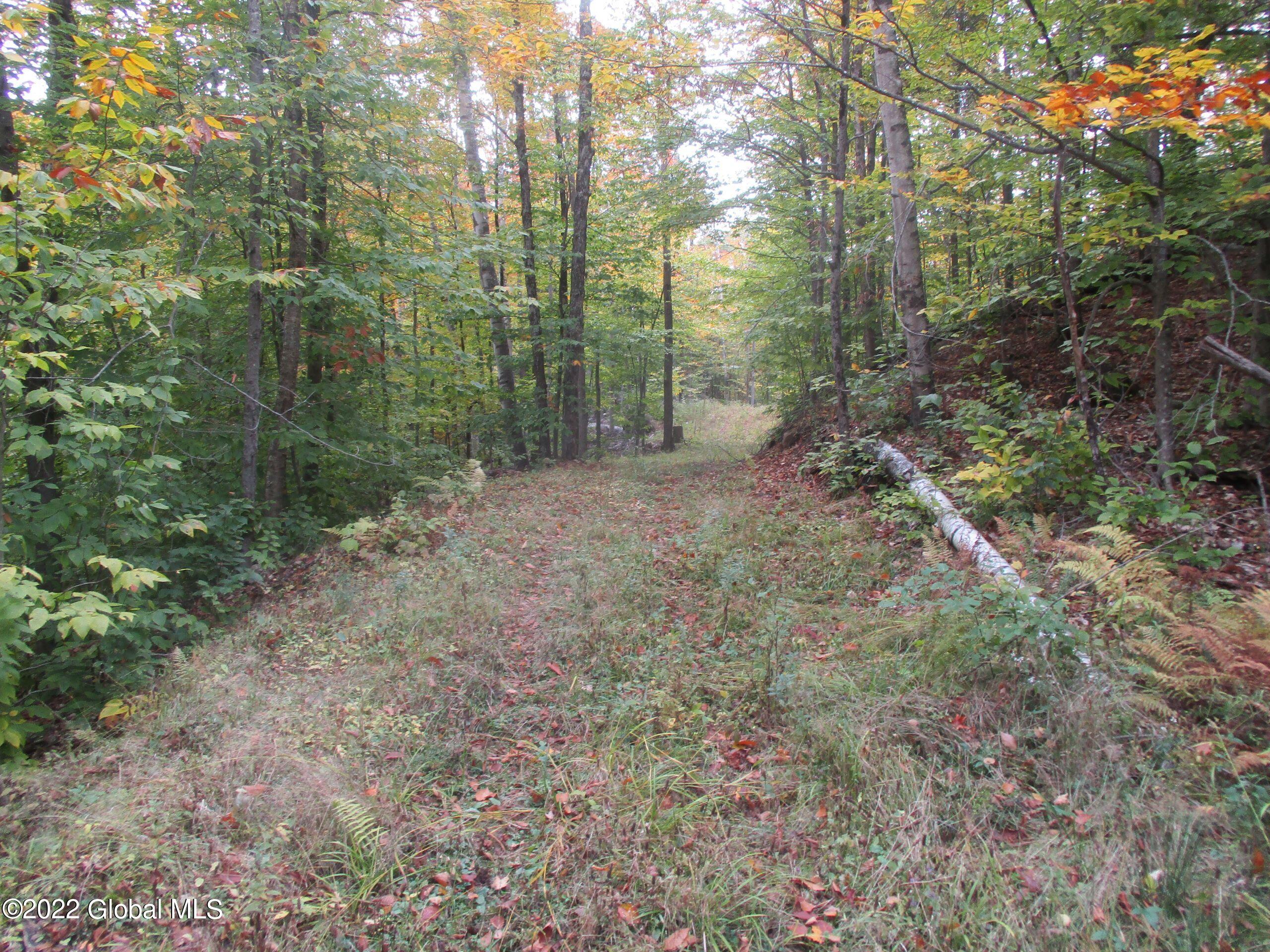 234 Old River Road North Creek NY 12853