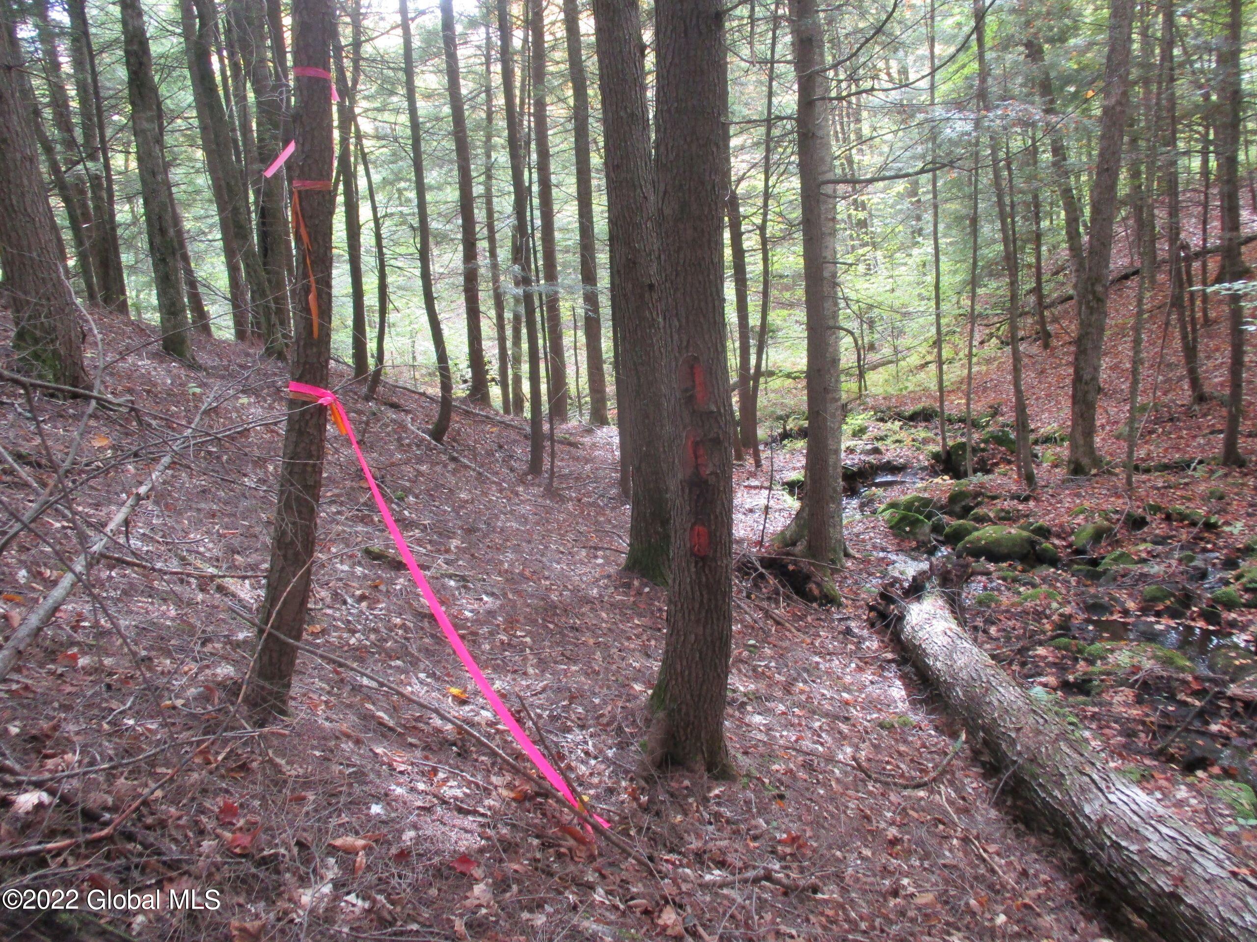 234 Old River Road North Creek NY 12853
