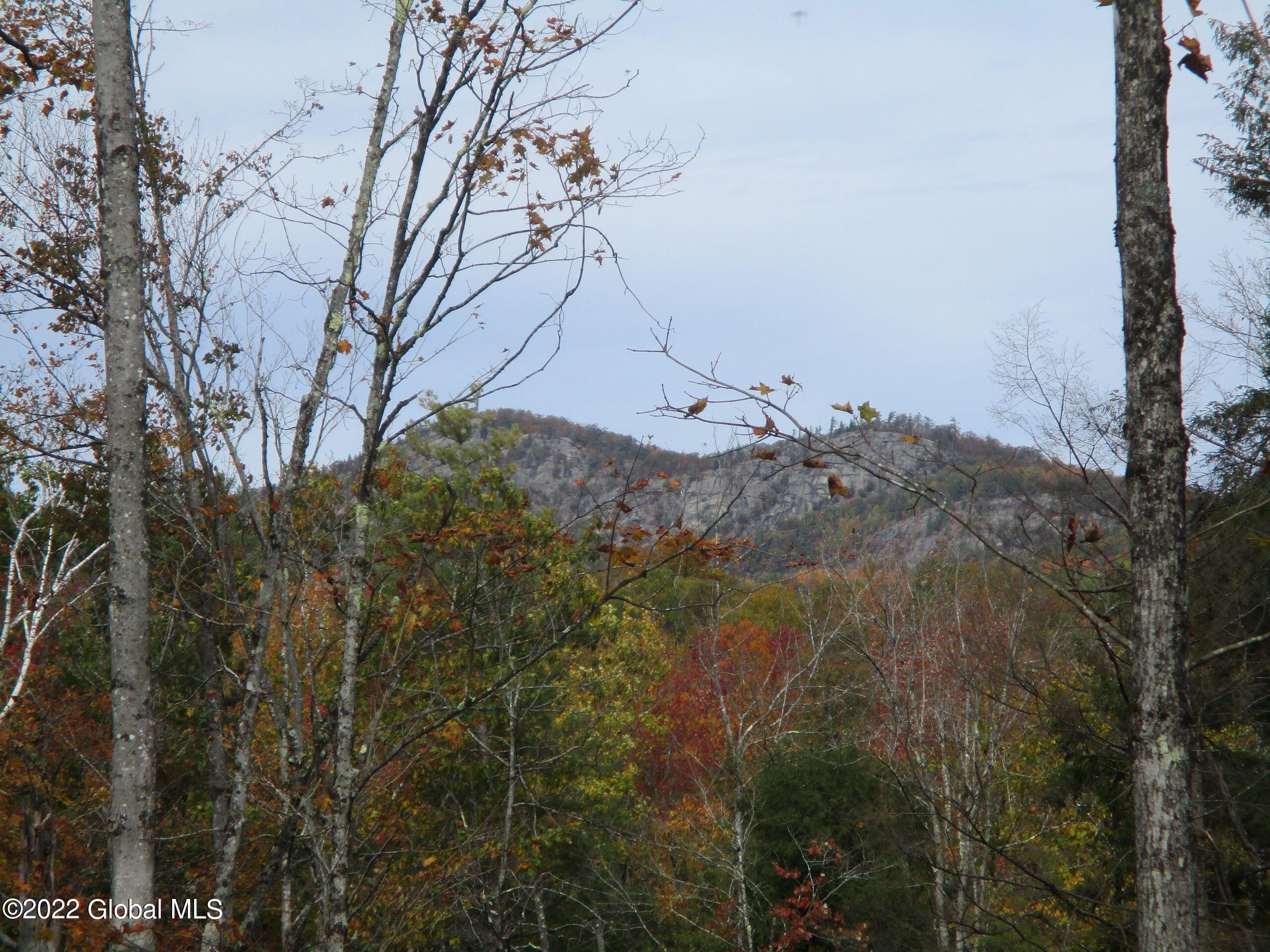 234 Old River Road North Creek NY 12853