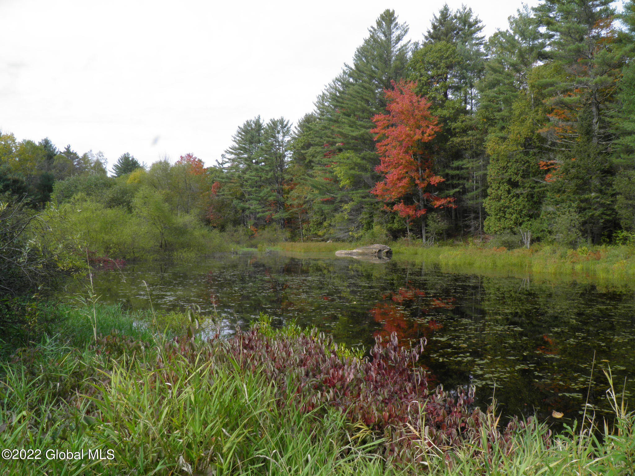 234 Old River Road North Creek NY 12853