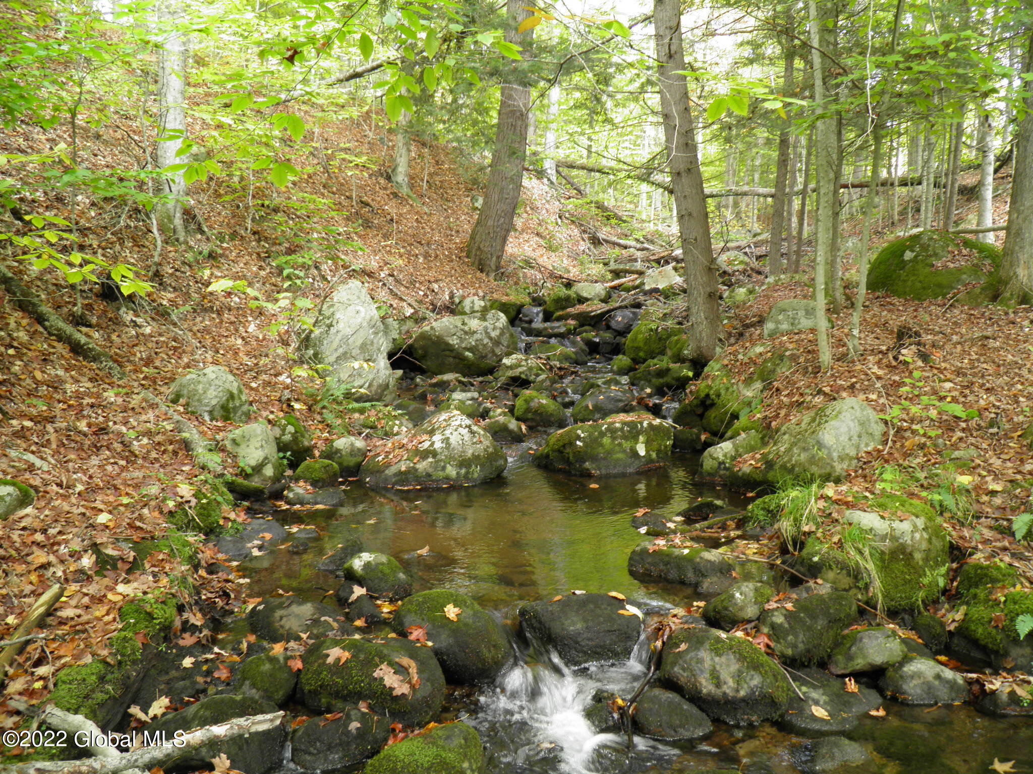 234 Old River Road North Creek NY 12853