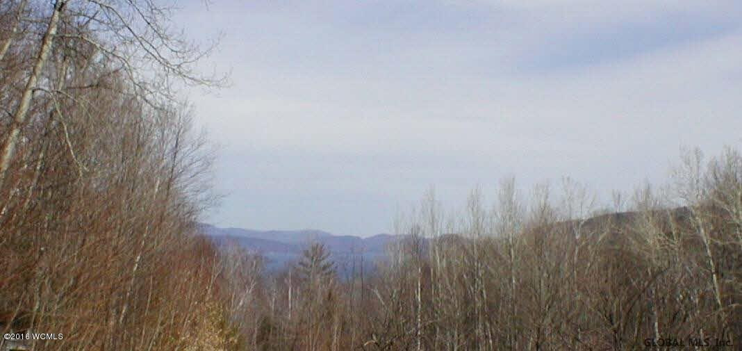L20.2 Goldey Road Huletts Landing NY 12841