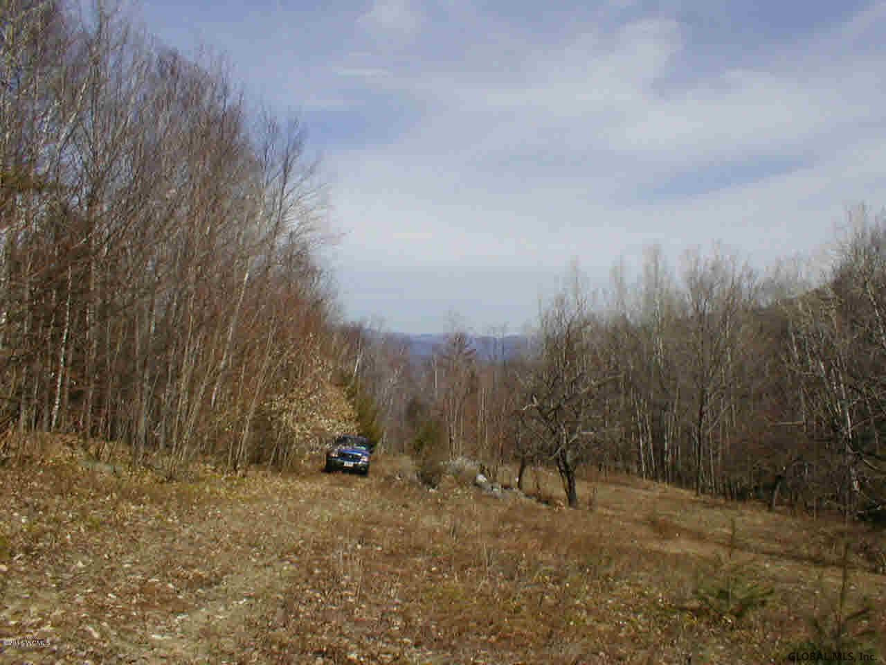 L20.2 Goldey Road Huletts Landing NY 12841