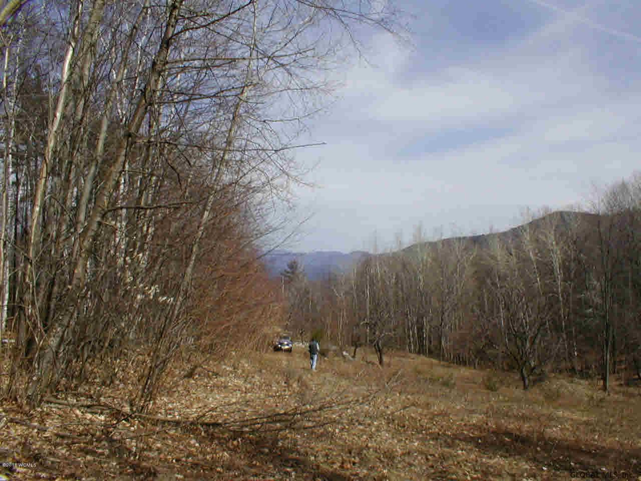 L20.2 Goldey Road Huletts Landing NY 12841