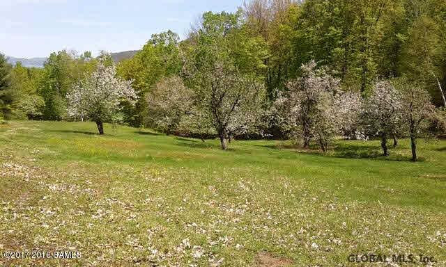 L20.2 Goldey Road Huletts Landing NY 12841